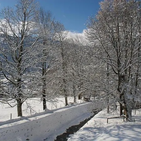 아파트 Pony 5-bettwohnung By Interhome 렌크